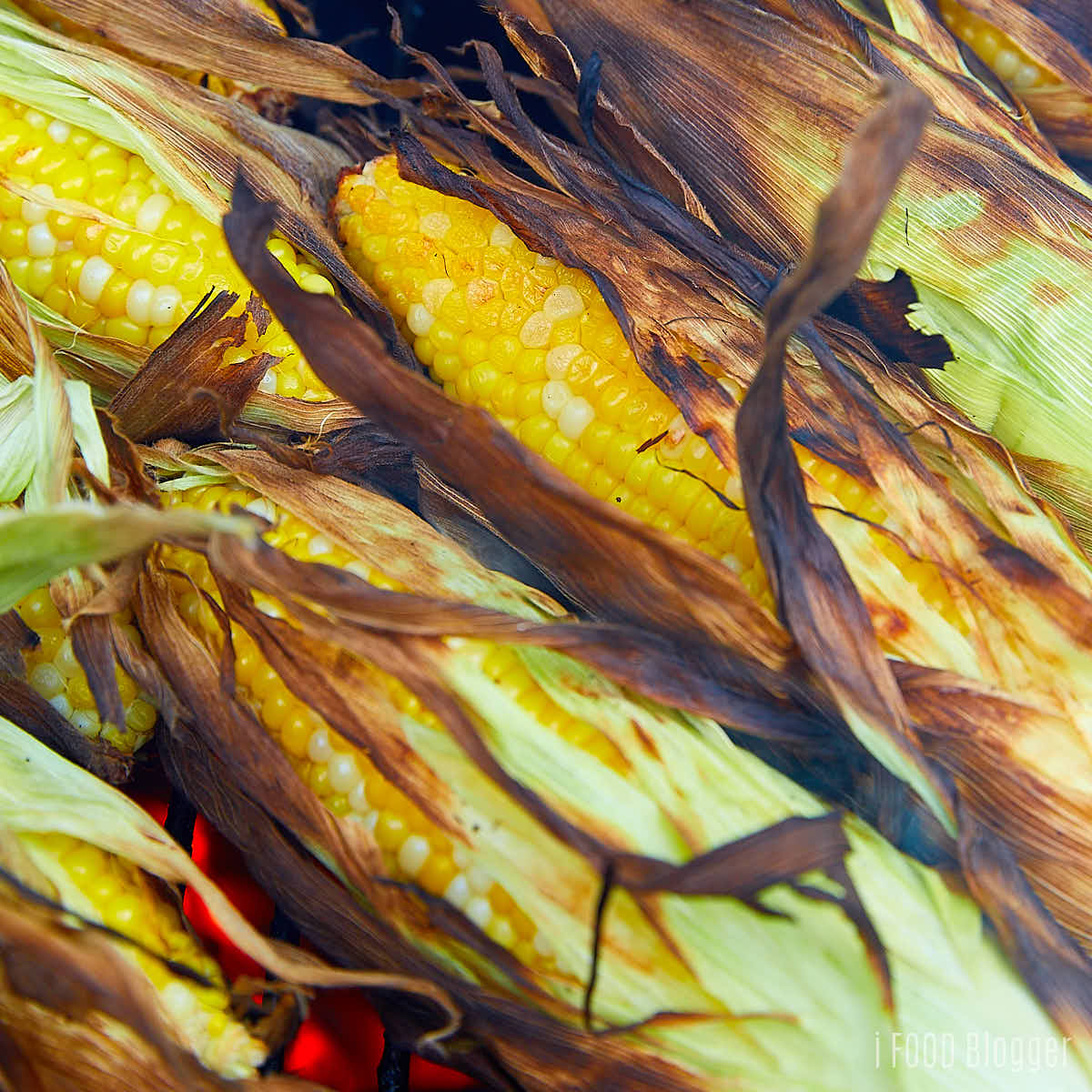 Gorn on the cob in husks on a charcoal grill.