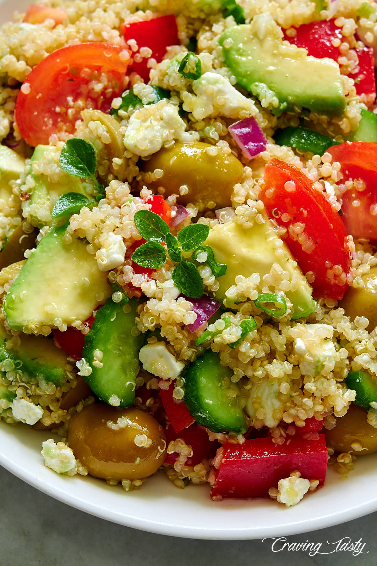 Close up of a Mediterranean salad with tomatoes, avocado, cucumbers, olives and Feta on a white plate.