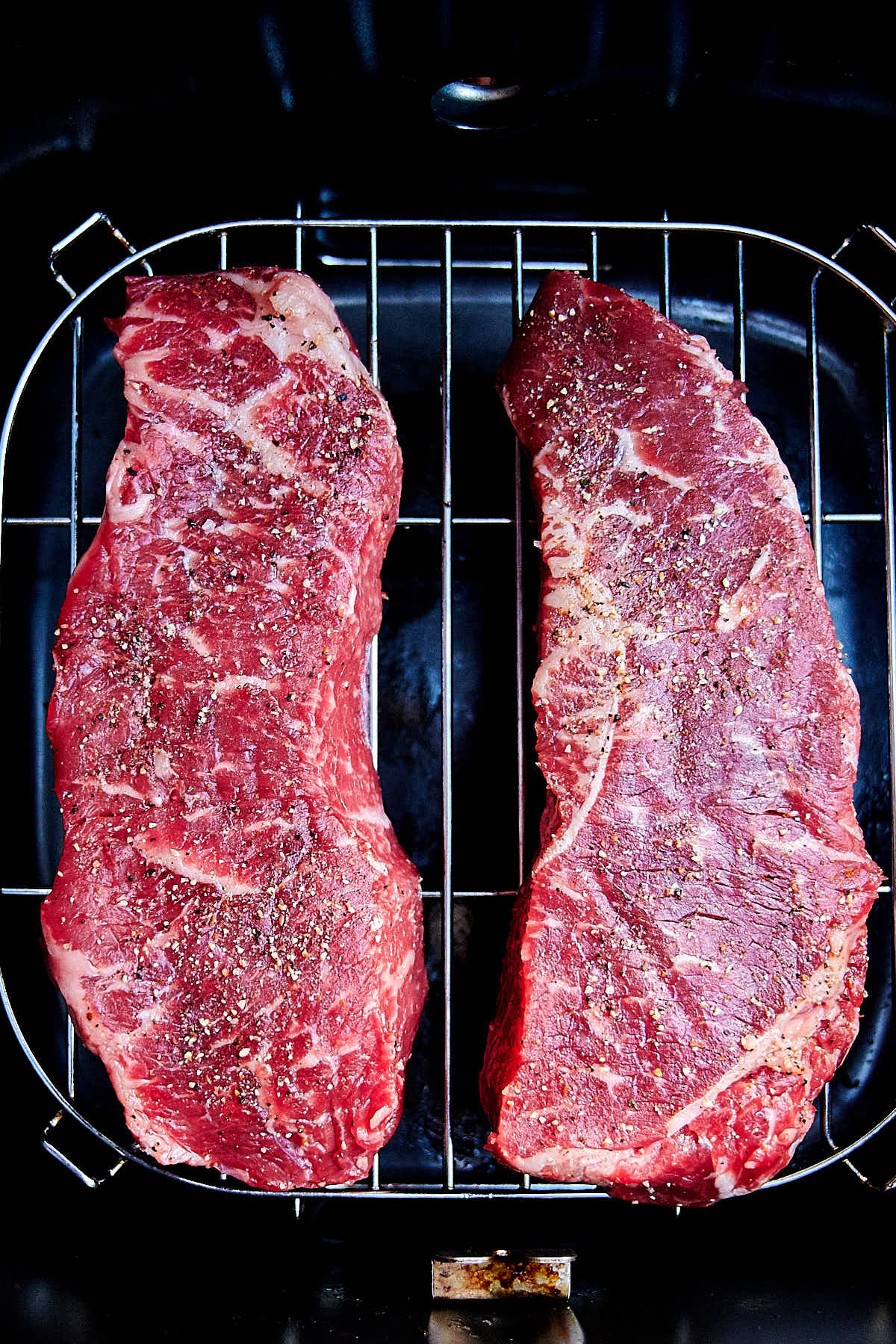 Can You GRILL in an Air Fryer?? Testing Steak, Veggies and Peaches on the  Sear N Sizzle! 