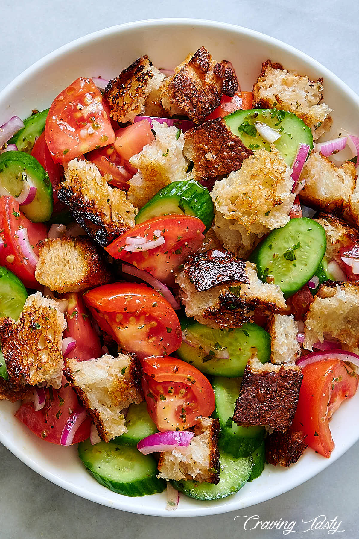 Top down view of bread salad on a white plate