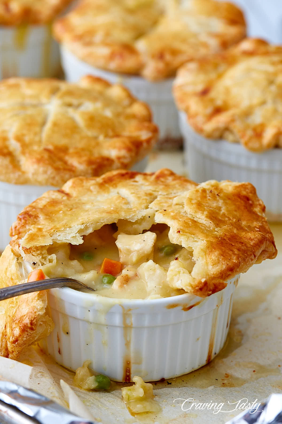 Seriously Good Chicken Pot Pie Craving Tasty