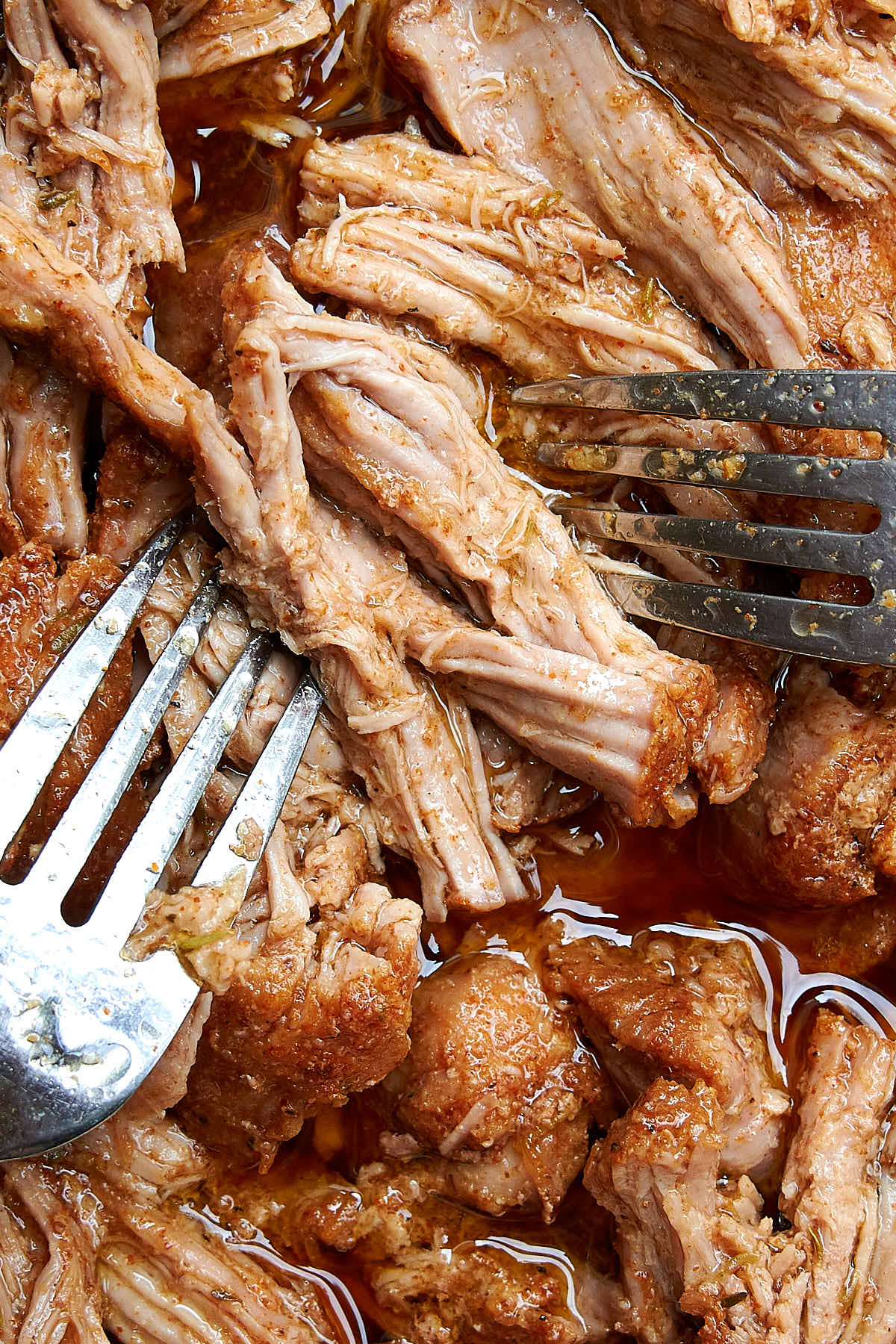 Close up of juicy pork being pulled with two forks.